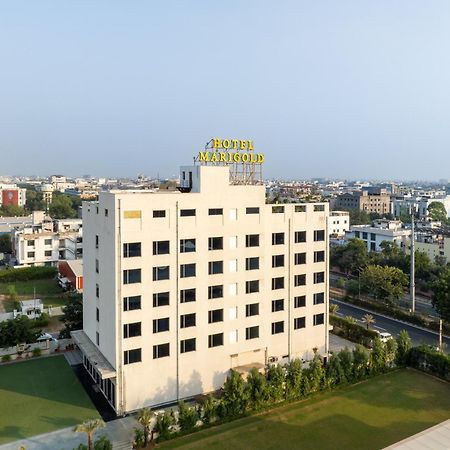 Hotel Marigold Jaipur Exteriör bild